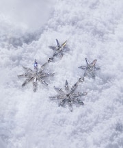 Cubic スターピアス