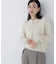 シャギーポロニット