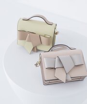 ボウリボンフラグメントケース