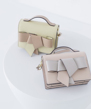 ボウリボンフラグメントケース