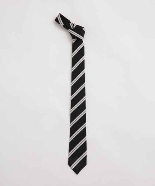 fratelli luigi／別注 シルクタイ