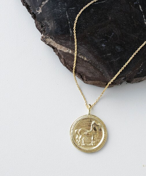 Chibi Jewels／Horse Coin Necklace