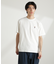 ナノベアTシャツ 半袖