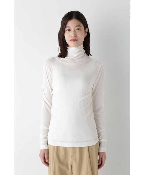 ◆シアータートル