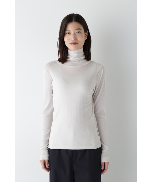 ◆シアータートル