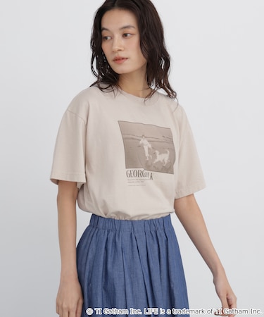 《LIFE PICTURE COLLECTION別注》フォトTシャツ DOG
