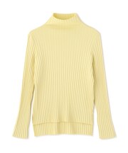 トタンプリーツニット