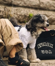 ファティーグ Tシャツ／FATIGUE T-SHIRT