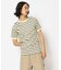 ボーダー 半袖 Tシャツ／BORDER T-SHIRT