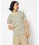 ボーダー 半袖 Tシャツ／BORDER T-SHIRT