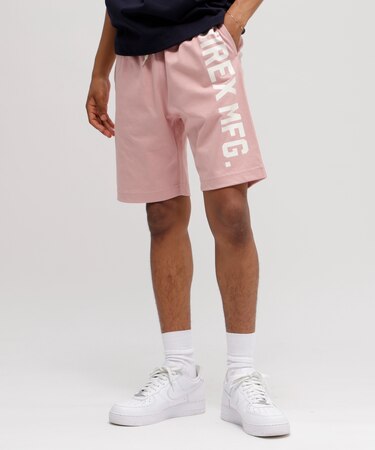 《WEB&DEPOT限定》VERTICAL LOGO SHORT PANTS ／ 縦ロゴ ショーツ AVIREX／