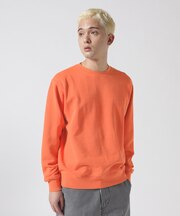 《DAILY／デイリー》FADE WASH CREW NECK SWEAT ／ フェード ウォッシュ クルーネック スウェット
