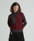 ＤＳ　Ｌ－Ｌ／Ｓ　ＭＥＬＡＮＧＥ　ＳＷＩＴＣＨＩＮＧ　ＫＩＮ