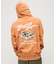 FLYING TIGER PULLOVER PARKA