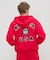 ＳＩＧＮＡＴＵＲＥ　ＶＡＲＳＩＴＹ　ＬＯＧＯ　ＺＩＰ　ＰＡＲ