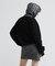 ＣＬ－Ｌ－Ｌ／Ｓ　ＤＥＮＩＭ　ＣＯＭＢＩ　ＰＫ