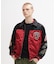 ＤＳ　ＡＷＡＲＤ　ＪＫＴ＂ＷＩＬＤ　ＢＥＡＲ＂