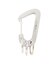《AVIREX by J.H.M CO.LTD.》SURPLUS LOGO CARABINER ／ サープラス ロゴ カラビナ ／