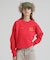 《直営店限定》RAGLAN SLEEVE USAF CREW SWEAT
