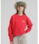 《直営店限定》RAGLAN SLEEVE USAF CREW SWEAT