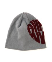 DS L-Heart Logo Beanie