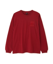 《WEB&DEPOT限定》VARSITY L/S T-SHIRT / バーシティ 長袖Tシャツ