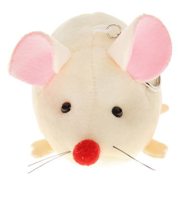 ねずみ WH TKZ91CM089