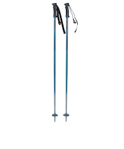サロモン（SALOMON）スキーポール ARCTIC アルペンポール 405588 ストック 軽量