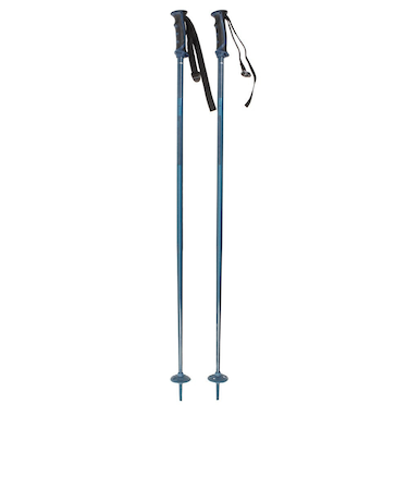 サロモン（SALOMON）スキーポール ARCTIC アルペンポール 405588 ストック 軽量