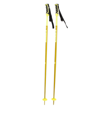 サロモン（SALOMON）スキーポール 405592 ARCTIC ストック 軽量