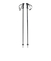 サロモン（SALOMON）スキーポール ARCTIC LADY 21 411740