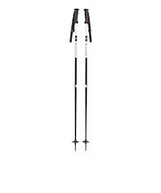 サロモン(SALOMON)スキーポール×NORTH 21 405593