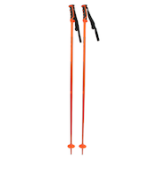サロモン（SALOMON）スキーポール 405591 ARCTIC ストック