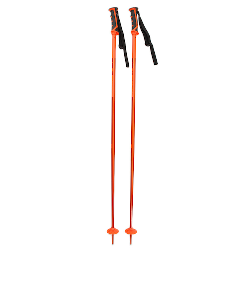 サロモン（SALOMON）スキーポール 405591 ARCTIC ストック