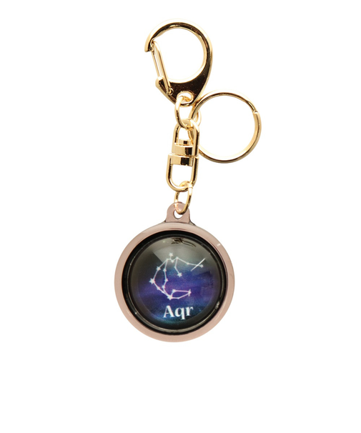 星座キーホルダー みずがめ座 HK008