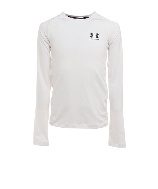 アンダーアーマー(UNDER ARMOUR)ヒートギア(夏向け) ジュニア ロングスリーブ シャツ 1361731 100