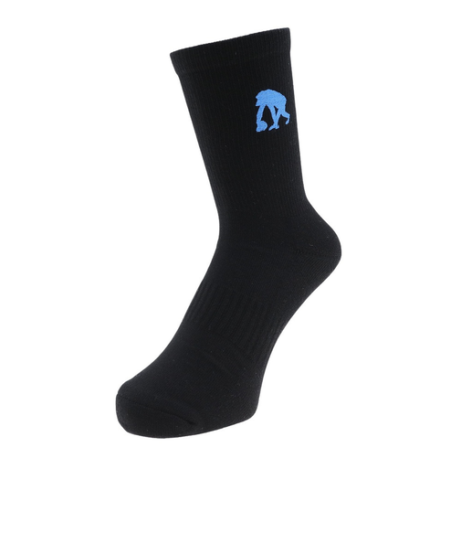 エゴザル（EGOZARU）バスケットボール ラインソックス EZAC-T2201-019