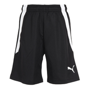 プーマ（PUMA）サッカーウェア ジュニア TEAMLIGA トレーニングショーツ 65780903 速乾
