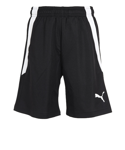 プーマ（PUMA）サッカーウェア ジュニア TEAMLIGA トレーニングショーツ 65780903 速乾