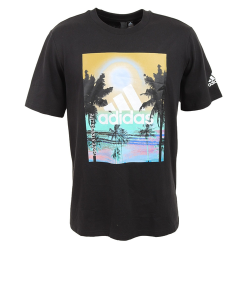 adidas ゲームTシャツ M アディダス（adidas）パームツリー グラフィック レギュラー