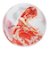 スフィーダ（SFIDA）サッカーボール 3号球 VAIS GIOCARE キッズ SB-23VG04 WHT/RED