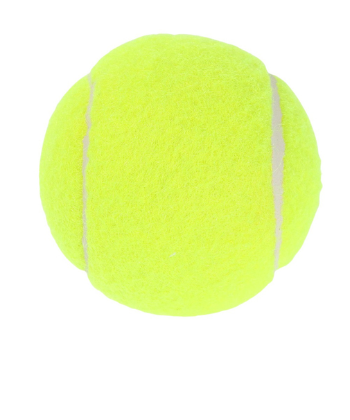 その他ブランド（OTHER BRAND）硬式用テニスボール ノンプレッシャーテニスボール 738NN3ZK0092 YEL