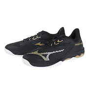 ミズノ（MIZUNO）オムニクレーコート用 テニスシューズ ウエーブエクシードライト2 ワイド OC 61GB231801