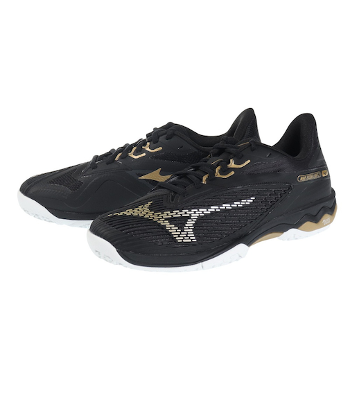 ミズノ（MIZUNO）オムニクレーコート用 テニスシューズ ウエーブエクシードライト2 ワイド OC 61GB231801