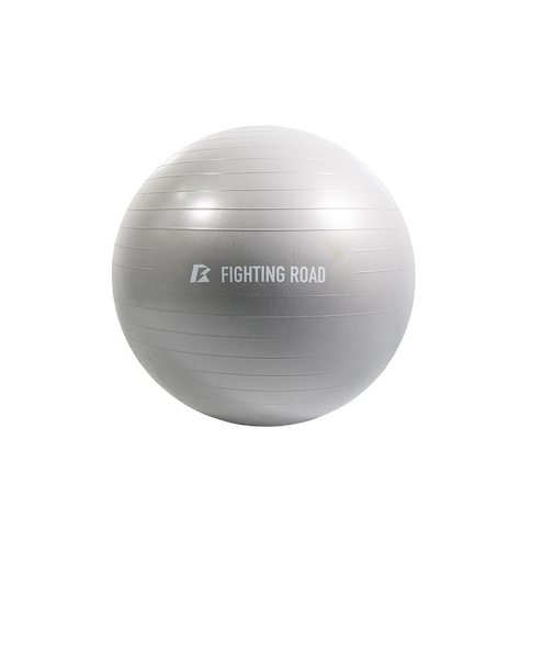 ファイティングロード Co.Ltd（FIGHTING ROAD CO.LTD）ジムボール45cm FR23CMS0047 GRY
