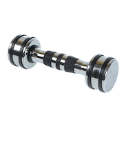 ファイティングロード Co.Ltd（FIGHTING ROAD CO.LTD）クロームダンベル 2kg FR22TAK002/2 SIL