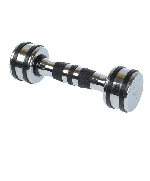 ファイティングロード Co.Ltd（FIGHTING ROAD CO.LTD）クロームダンベル 2kg FR22TAK002/2 SIL