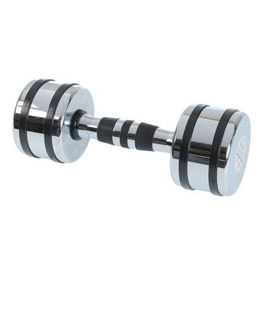 ファイティングロード Co.Ltd（FIGHTING ROAD CO.LTD）クロームダンベル 6kg FR22TAK002/6 SIL