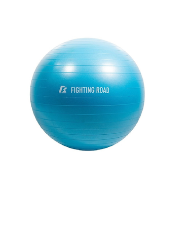 ファイティングロード Co.Ltd（FIGHTING ROAD CO.LTD）ジムボール 55cm FR23CMS0048 SAX