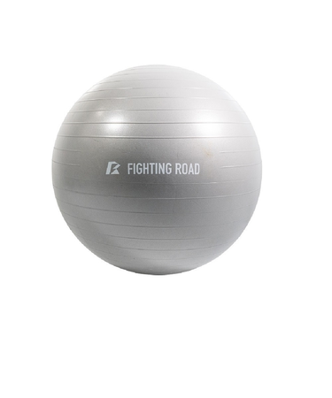 ファイティングロード Co.Ltd（FIGHTING ROAD CO.LTD）ジムボール 75cm FR23CMS0050 GRY ダイエット